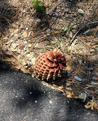 Green Valley Picnic & Campground