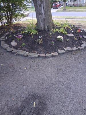 Stymus Brother Landscape