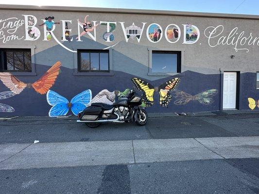 Hollister Powersports