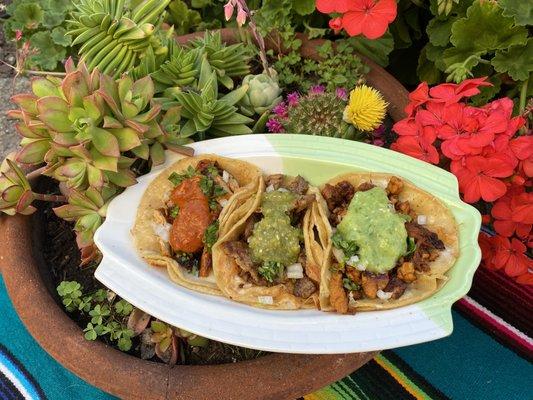 Fridas Cocina Mexicana