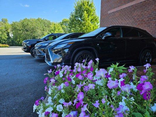 Black Horse Livery Service