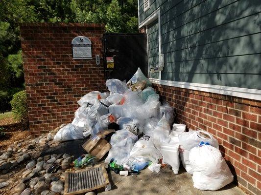 The pathway to the trash compactor! Yuck!