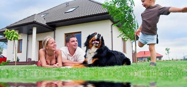 Mosquito Control in Montgomery, Alabama.