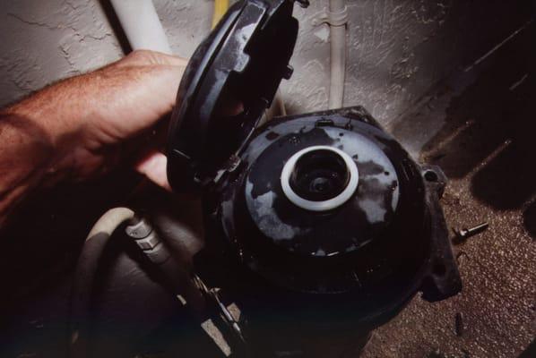 Pool Pump Repairs