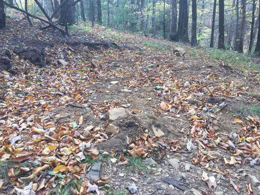 Blue Ridge Campground and Market