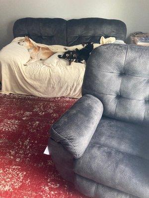 Dunk And Bright Furniture