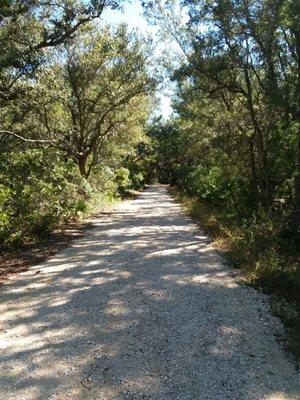 Pine Beach Trail