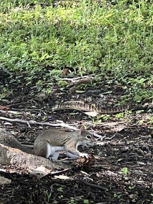 Weaver Community Park