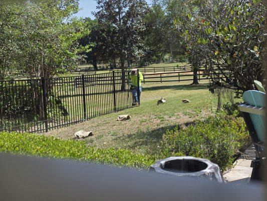 man installed fence section