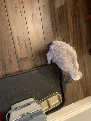 Navarre Animal Hospital