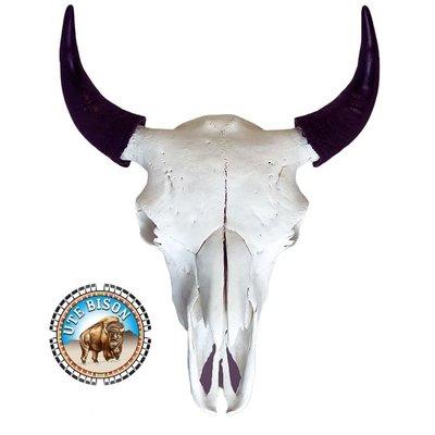 Ute Bison