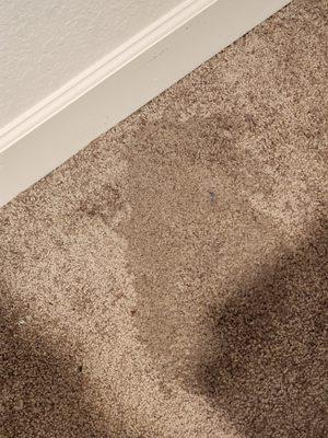 Adams Homes of NW Florida