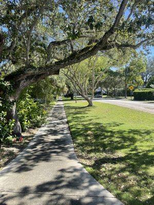 Prophete Luxury landscape