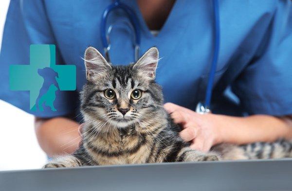 RxTRA CARE Pet Sitting & Services