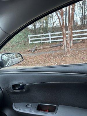 Red Rock Management Agency