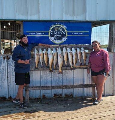 Sea Monsters Charters