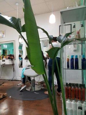 Personality Salon & Spa