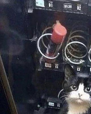 A&M Landscape And Design