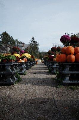 Spring Brook Farm Country Store