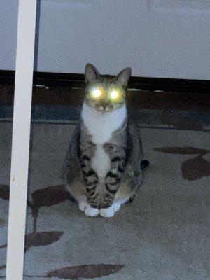 Zeller Tire and Auto Centers