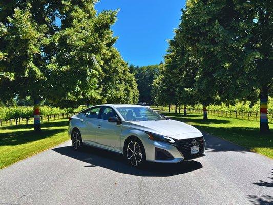 Nissan ALTIMA in Woodinville