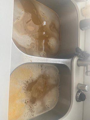 Water went backed up from the drain