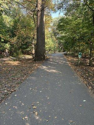 Brookdale Park Rose Garden
