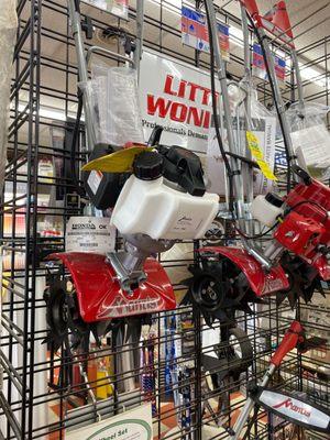 Mantis for the garden