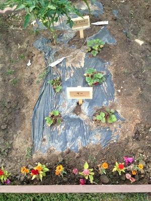 Gardena Presbyterian Church