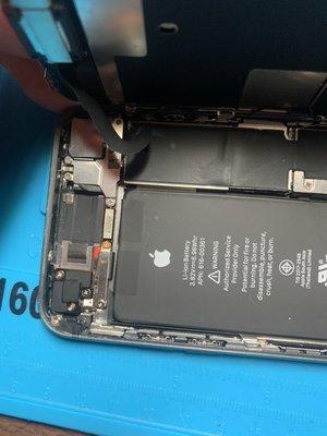 Water damage diagnosis