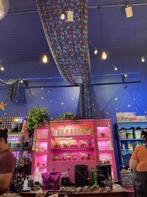 The Rainbow Cupboard