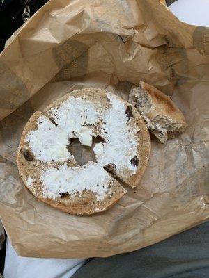 The Great American Bagel Bakery