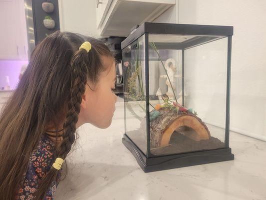 5280 Reptile Room - North