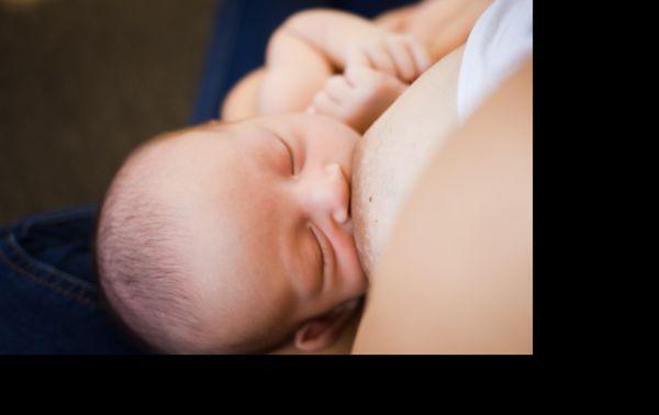 Family Tree OT and Lactation