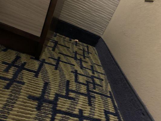 Trash next to end table