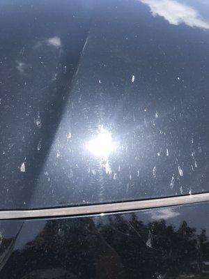 Regency Car Bath