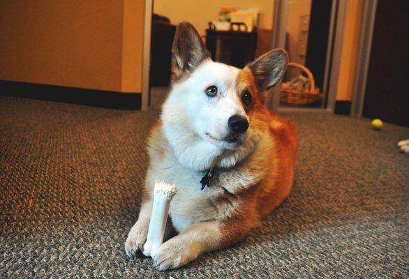 Mark S Varshawsky, CPA