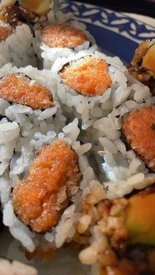 A close up off Spicy Tuna Roll.