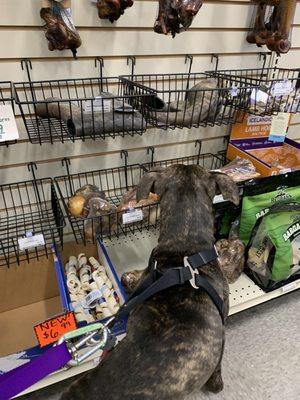 South Salem Pet Supply