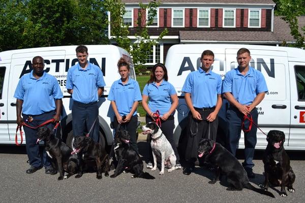 Action's Bed Bug Dog Inspection Teams, serving NJ, NY, PA, and Delaware!