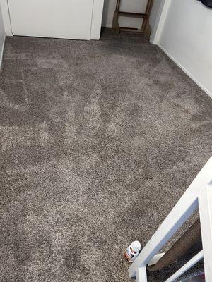 Deep Steam Carpet Cleaning