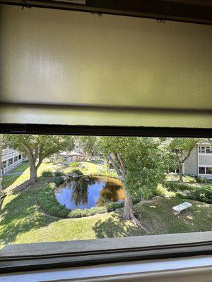 Lexi Lynn Skin - Sugaring Studio