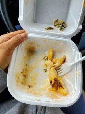 Barbacoa stuffed fries that never made it to the house