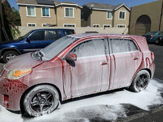 Detailing Bee Auto Detailing