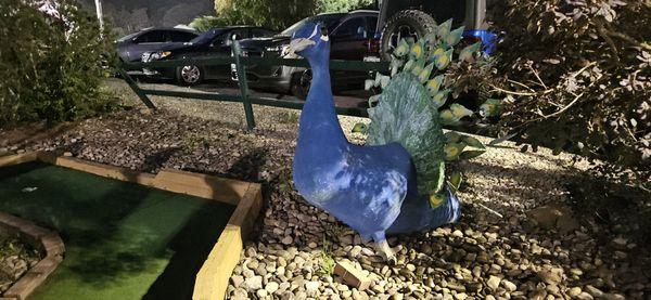 Har-Tees Driving Range