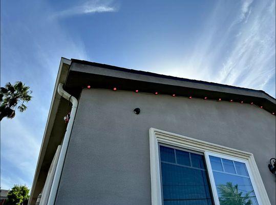 Permanent govee lights