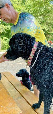 Day Heights Veterinary Clinic