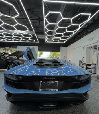 Royal Tint - Rocklin