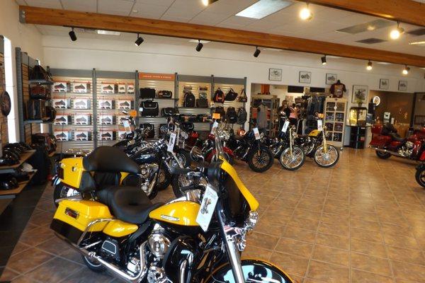 Snake Harley-Davidson