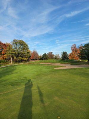 Gustan Cho Associates